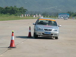 東風雪鐵龍訓練營圖片