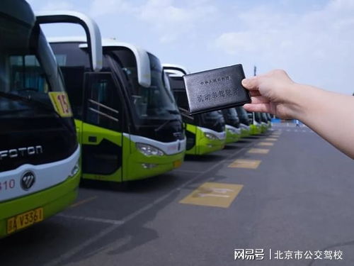 暑假學(xué)車,你和涼爽感就差這幾招