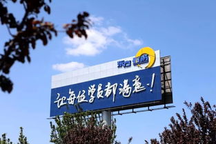 重要通知 國內唯一主板上市駕校落戶淄博