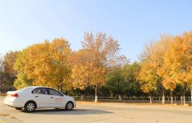 北京盛華駕校全面解析 報名價格、服務質量與學員評價