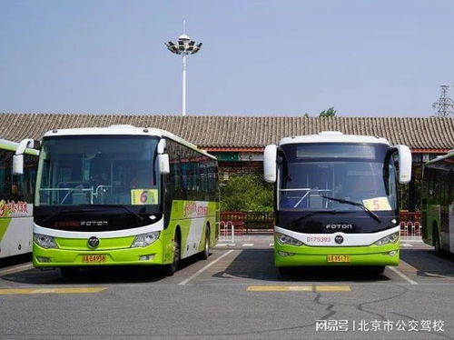 來(lái)公交駕校，輕松學(xué)駕駛，暢游北京城