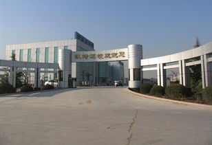 北京豐臺區(qū)四大駕校實力點評與選擇指南