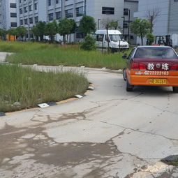 東鵬駕校 大眾點評網上的北京駕校口碑探析